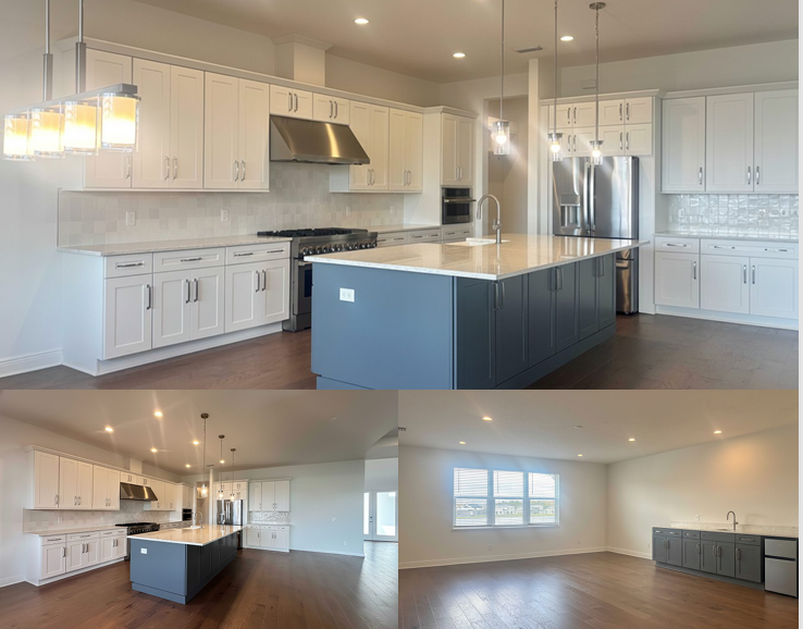Gourmet cooking area and family room